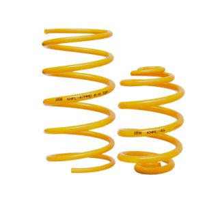 Ford Mustang S550 Lowered Springs -1 Package